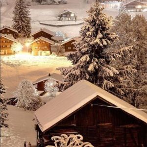 Meet your Posher, Annie